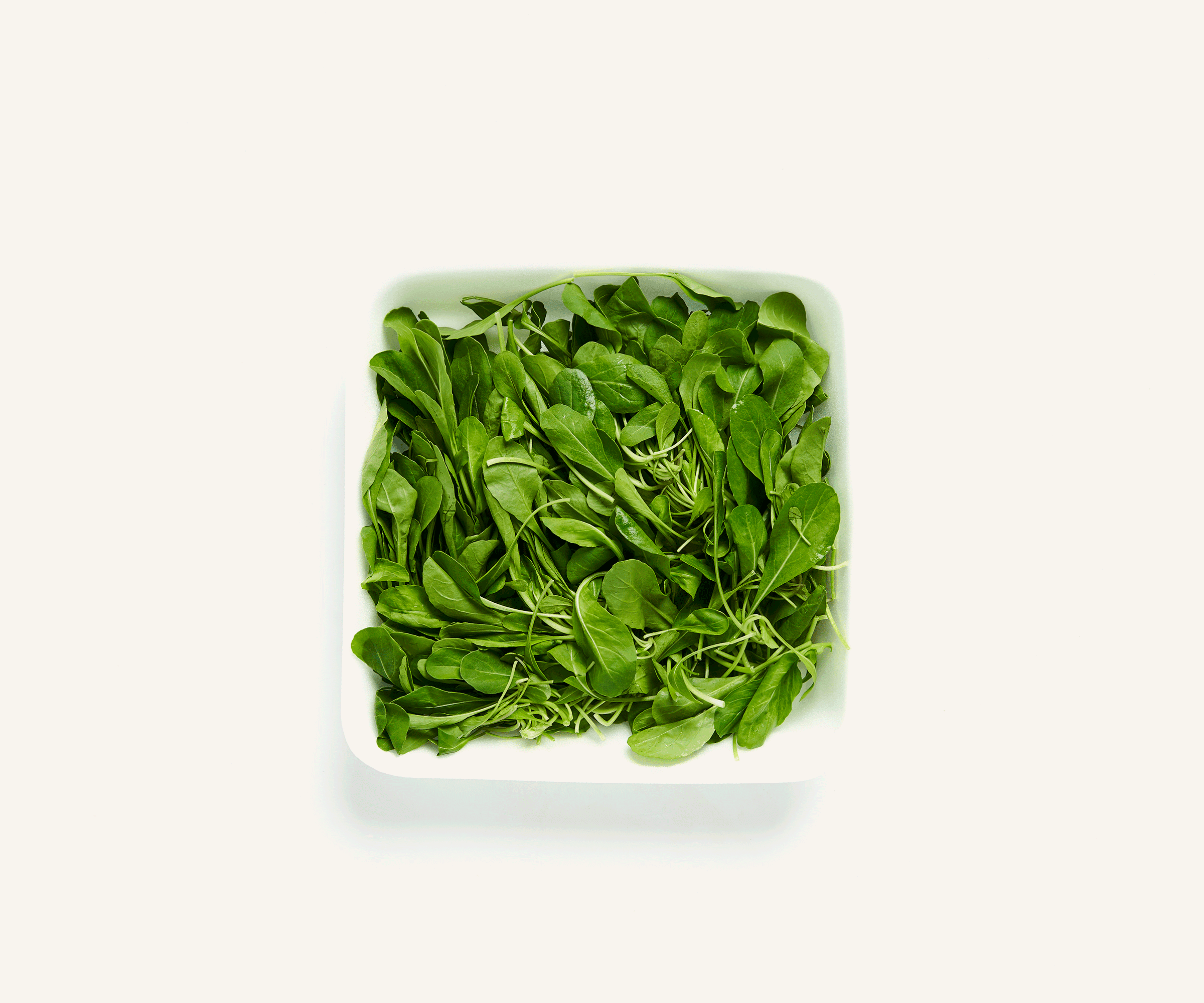 Rúcula higienizada 250g